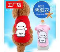 上海市閔行區(qū) 探索“大白寵物”現(xiàn)象——從內(nèi)衣內(nèi)褲看都市養(yǎng)寵新風尚